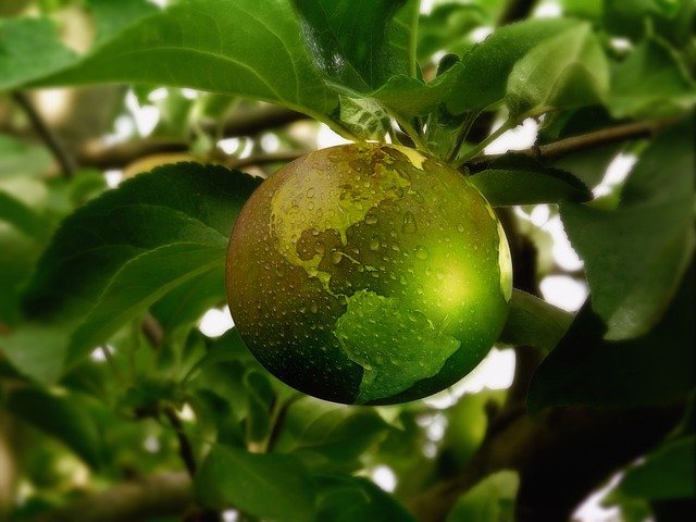 wat is liefde_de matrix en de natuur samen één vertrouwen